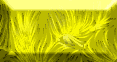 Grand bouton - 038